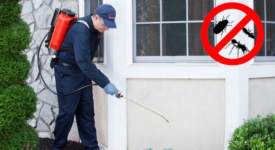 Efeler Tahtakurusu İlaçlama böcek ilaçlama ve haşere kontrolü — ilaclama-tr.com